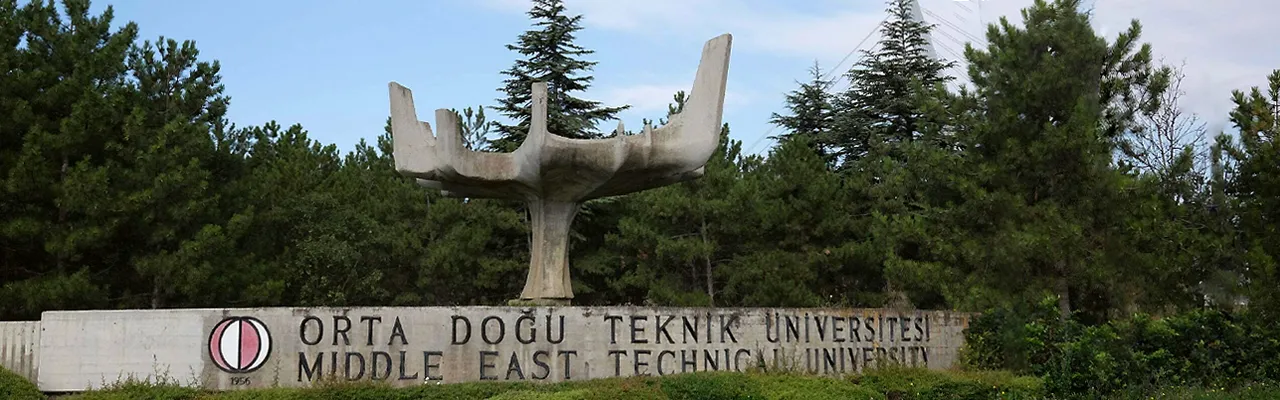 Bilim Ağacı Slayt Görseli